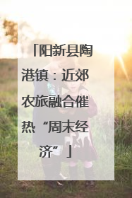 阳新县陶港镇：近郊农旅融合催热“周末经济”
