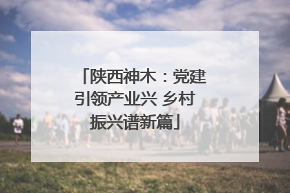 陕西神木：党建引领产业兴 乡村振兴谱新篇