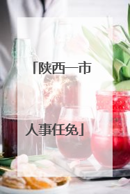 陕西一市人事任免