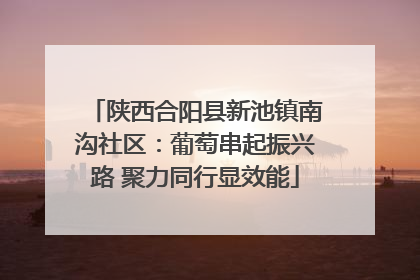 陕西合阳县新池镇南沟社区：葡萄串起振兴路 聚力同行显效能
