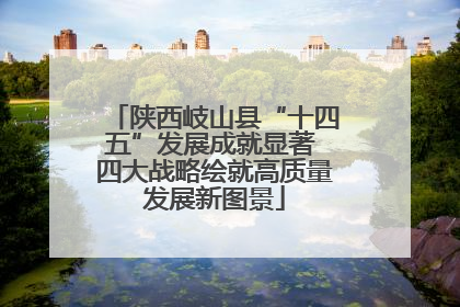 陕西岐山县“十四五”发展成就显著 四大战略绘就高质量发展新图景