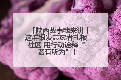 陕西故事我来讲丨这群银发志愿者扎根社区 用行动诠释“老有所为”