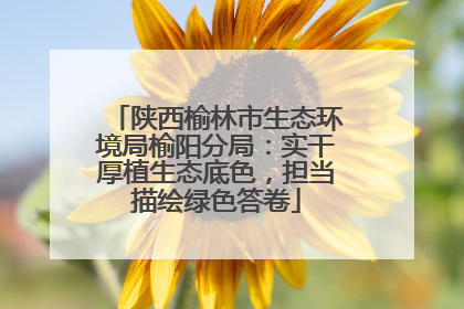 陕西榆林市生态环境局榆阳分局：实干厚植生态底色，担当描绘绿色答卷