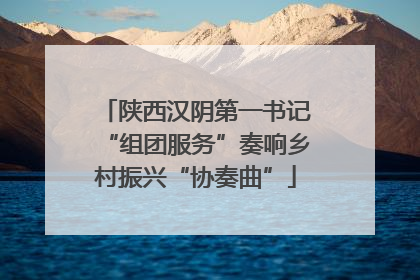 陕西汉阴第一书记“组团服务”奏响乡村振兴“协奏曲”