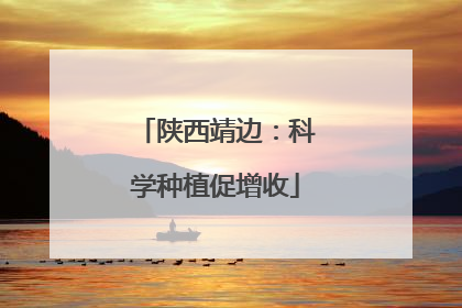 陕西靖边：科学种植促增收