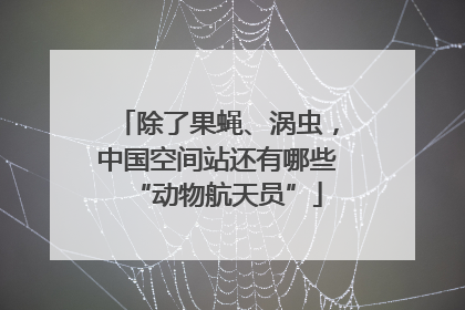 除了果蝇、涡虫，中国空间站还有哪些“动物航天员”