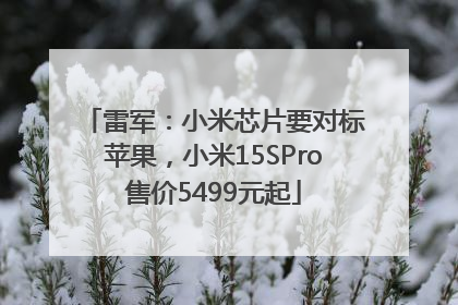 雷军：小米芯片要对标苹果，小米15SPro售价5499元起