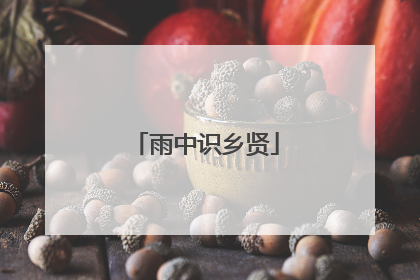 雨中识乡贤