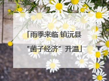 雨季来临 镇沅县“菌子经济”升温
