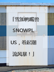 雪加鸭嘴兽SNOWPLUS，卷起潮流风暴！