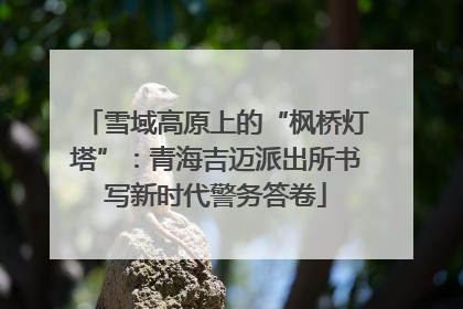 雪域高原上的“枫桥灯塔”：青海吉迈派出所书写新时代警务答卷