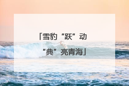 雪豹“跃”动 “典”亮青海