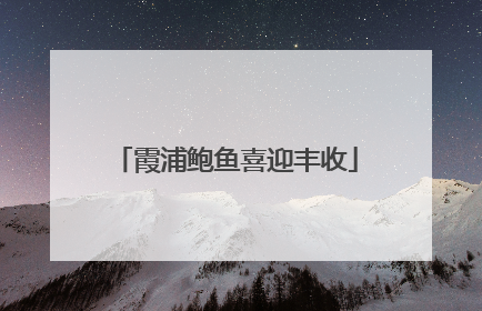 霞浦鲍鱼喜迎丰收