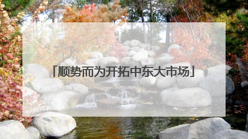 顺势而为开拓中东大市场
