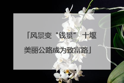 风景变“钱景” 十堰美丽公路成为致富路