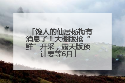 馋人的仙居杨梅有消息了！大棚版抢“鲜”开采，露天版预计要等6月