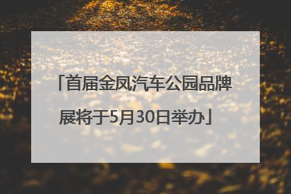 首届金凤汽车公园品牌展将于5月30日举办