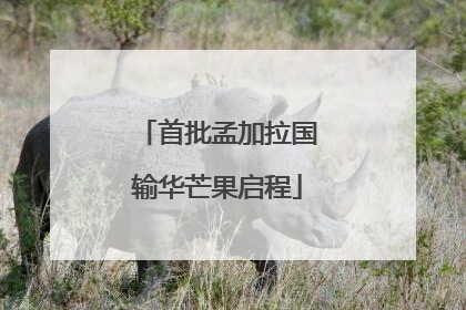 首批孟加拉国输华芒果启程