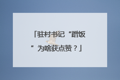 驻村书记“蹭饭”为啥获点赞？