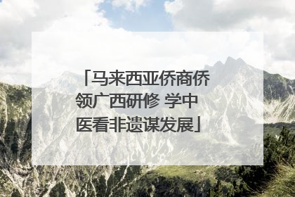 马来西亚侨商侨领广西研修 学中医看非遗谋发展