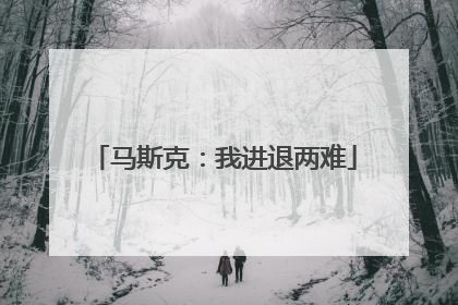 马斯克：我进退两难