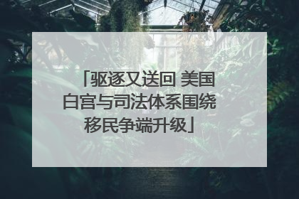 驱逐又送回 美国白宫与司法体系围绕移民争端升级