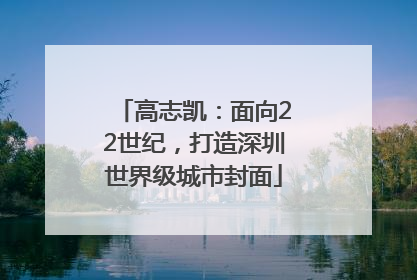 高志凯：面向22世纪，打造深圳世界级城市封面