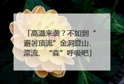 高温来袭？不如到“避暑顶流”金洞登山、漂流、“森”呼吸吧