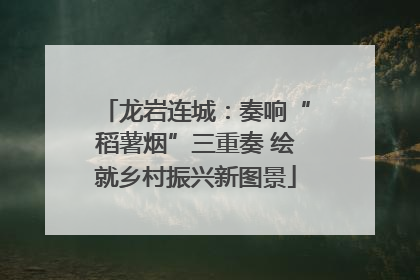 龙岩连城：奏响“稻薯烟”三重奏 绘就乡村振兴新图景