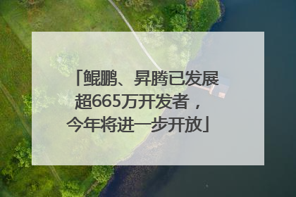 鲲鹏、昇腾已发展超665万开发者，今年将进一步开放