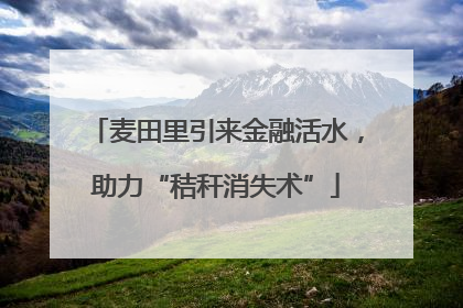 麦田里引来金融活水，助力“秸秆消失术”