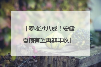 麦收过八成！安徽夏粮有望再迎丰收