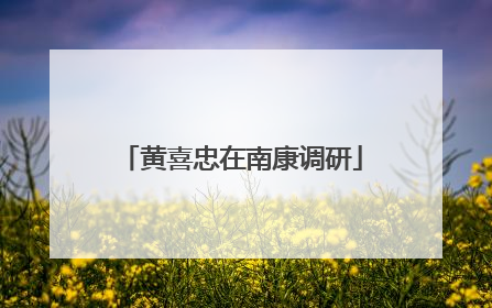 黄喜忠在南康调研