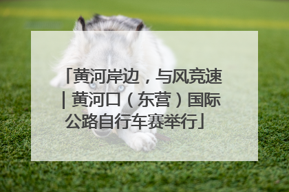 黄河岸边，与风竞速｜黄河口（东营）国际公路自行车赛举行