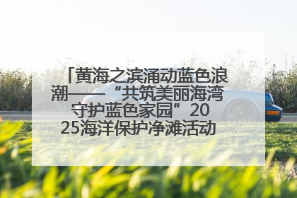 黄海之滨涌动蓝色浪潮——“共筑美丽海湾 守护蓝色家园”2025海洋保护净滩活动暨“美丽江苏—江河湖海青蓝行”海洋篇在连云港举行