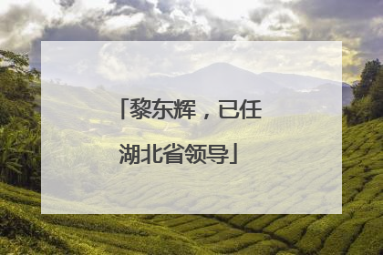 黎东辉，已任湖北省领导