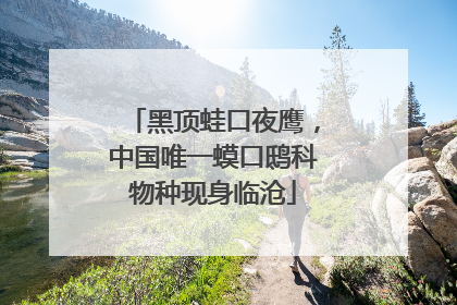 黑顶蛙口夜鹰，中国唯一蟆口鸱科物种现身临沧
