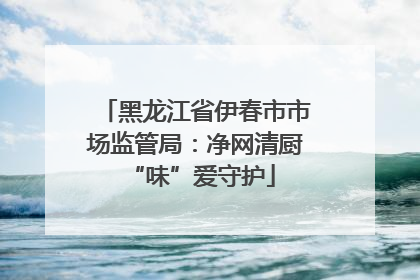 黑龙江省伊春市市场监管局：净网清厨 “味”爱守护