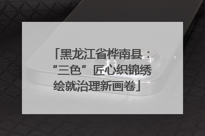 黑龙江省桦南县：“三色”匠心织锦绣 绘就治理新画卷