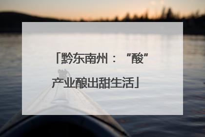 黔东南州：“酸”产业酿出甜生活