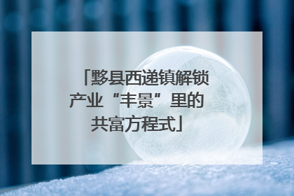 黟县西递镇解锁产业“丰景”里的共富方程式