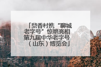 鼎香村携“聊城老字号”惊艳亮相第九届中华老字号（山东）博览会