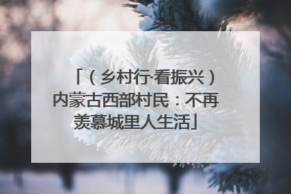 （乡村行·看振兴）内蒙古西部村民：不再羡慕城里人生活