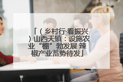 （乡村行·看振兴）山西天镇：设施农业“棚”勃发展 辣椒产业蓄势待发