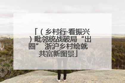 （乡村行·看振兴）毗邻统战破局“出圈” 浙沪乡村绘就共富新图景