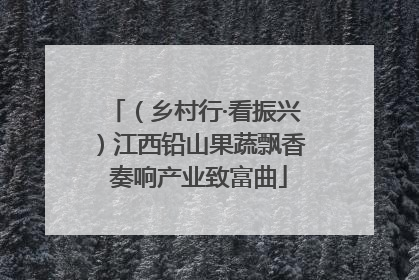 （乡村行·看振兴）江西铅山果蔬飘香 奏响产业致富曲
