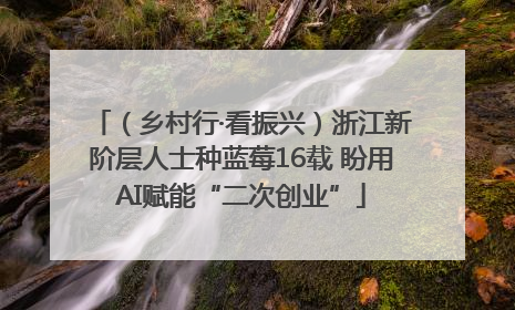 （乡村行·看振兴）浙江新阶层人士种蓝莓16载 盼用AI赋能“二次创业”
