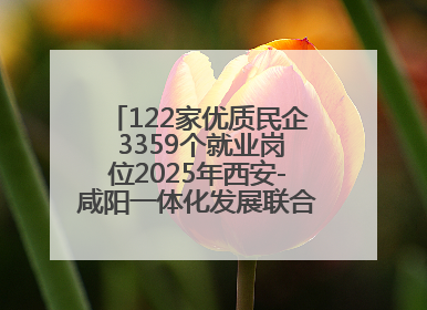 122家优质民企 3359个就业岗位2025年西安-咸阳一体化发展联合招聘会举办