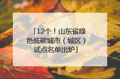 12个！山东省绿色低碳城市（城区）试点名单出炉