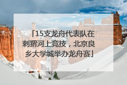 15支龙舟代表队在刺猬河上竞技，北京良乡大学城举办龙舟赛